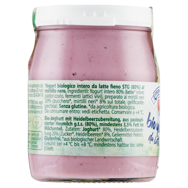 Sterzing Vipiteno bio yogurt da latte fieno mirtilli 150 g