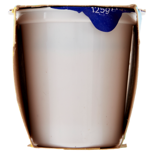 Centrale del latte Vicenza Yogurt Intero Frutta Frullata Prugna 2 x 125 g