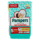 Pampers Baby-dry Mutandino Junior 13 pz