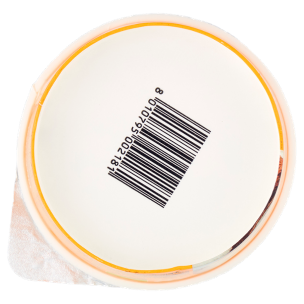 Fattoria Scaldasole con Scaglie di Cocco yogurt biologico 150 g