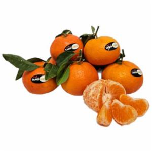 Mandarini Tangold Con Foglia