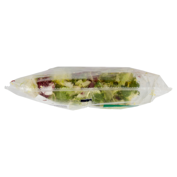 IL GIGANTE le Insalate Armoniosa 200 g