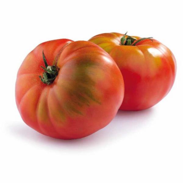 Pomodori Insalatari Tondi Lisci