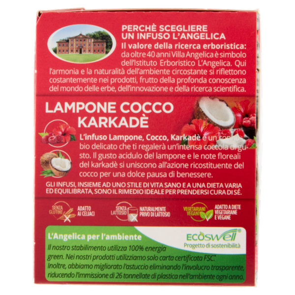 L'Angelica Passione di Frutta Lampone Cocco Karkadè 15 Filtri 28.5 g