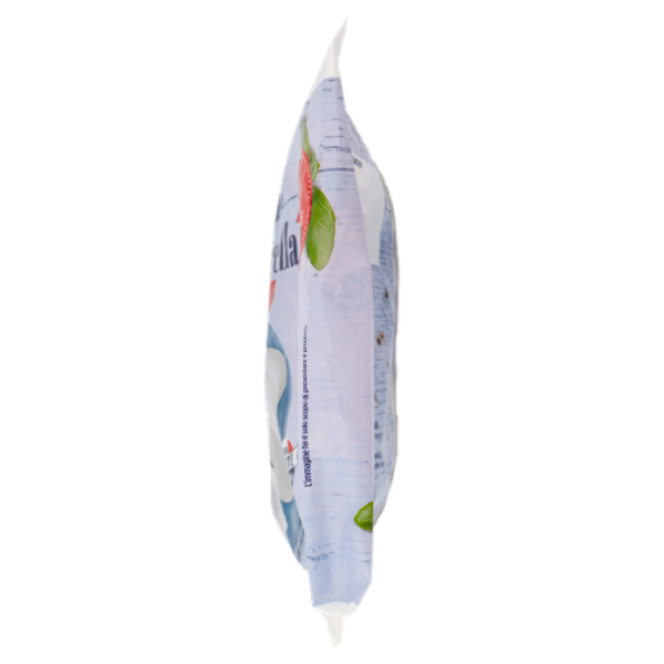 IL GIGANTE Mozzarella Tris 3 x 100 g