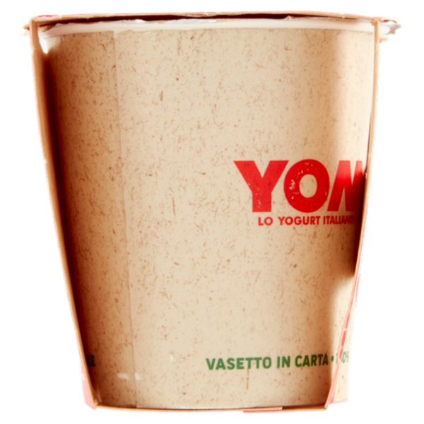 Yomo Intero Ananas 2 x 125 g