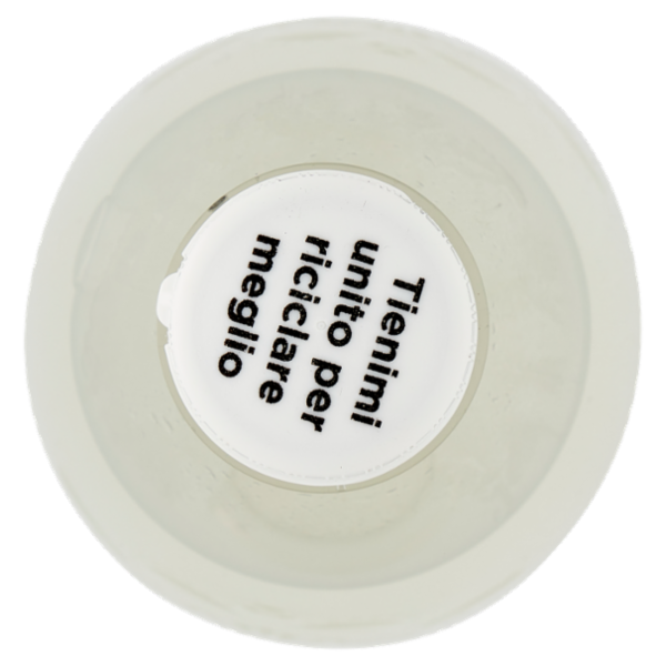 KINLEY Bitter Lemon Taste Pet 1L