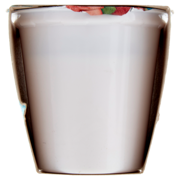 Latteria Brunico Yogurt Magro Zero Grassi Frutta Frullata Fragola 2 x 125 g