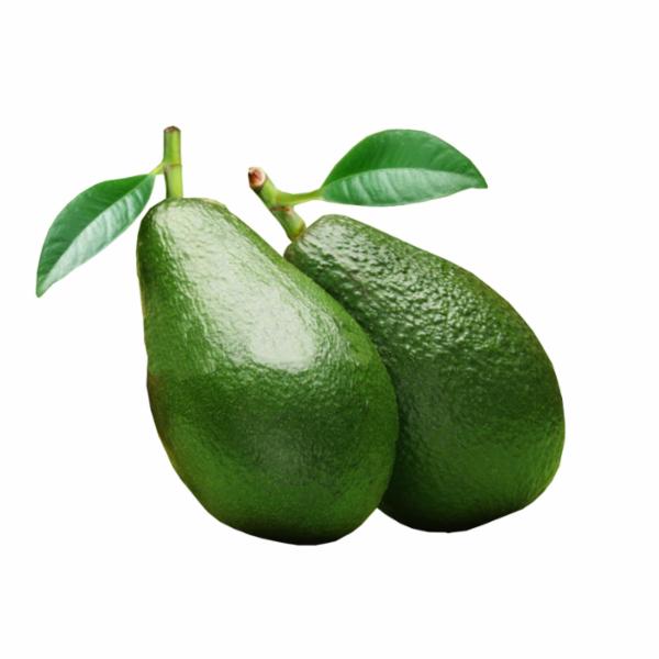 Avocado Green Israele