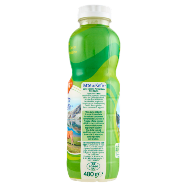Viva Latte di Kefir 480 g
