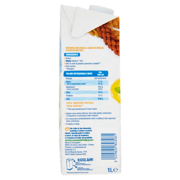BJORG Miglio Bevanda Vegetale Bio, Senza Glutine, Senza Zuccheri Aggiunti, Prodotto in Italia, 1L