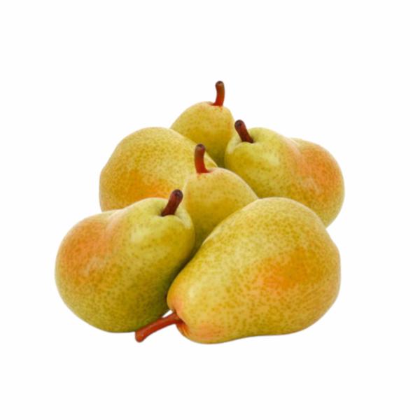 Pere Decana Italia Cal. 80/85