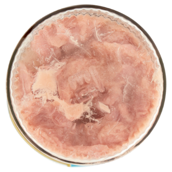 Nostromo Filetti di Tonno al Naturale 250 g