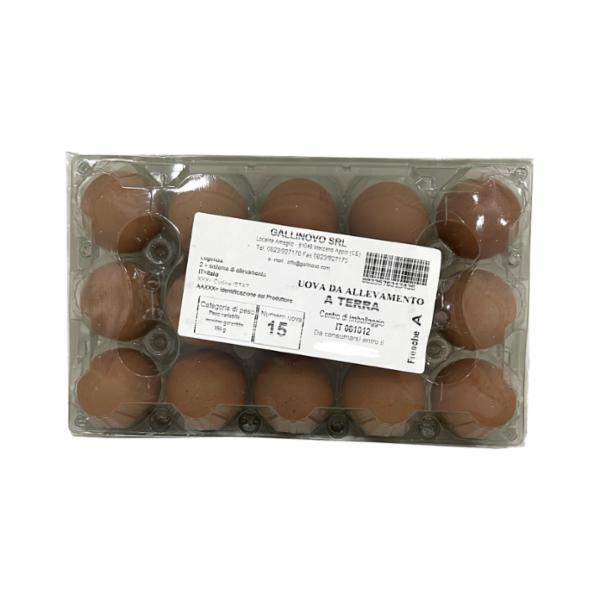 Gallinovo Uova Allevate A Terra M X15