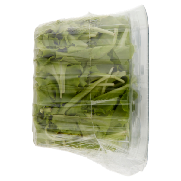 Sù Lattughino Lavato e Pronto per il Consumo in Vaschetta 400 g