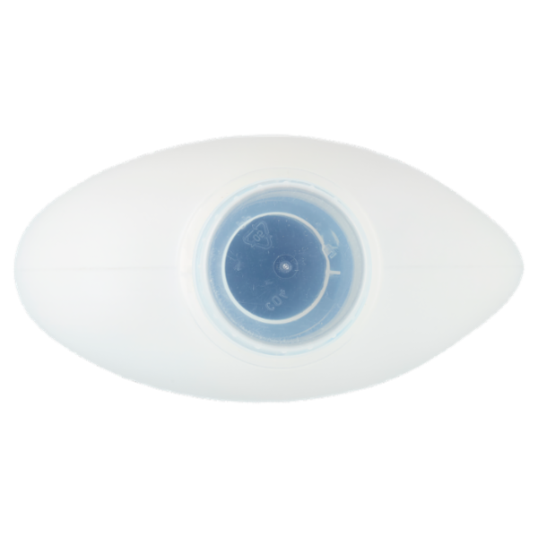 Lysoform Detersivo Igienizzante Classico 54 Lavaggi 2,43 L