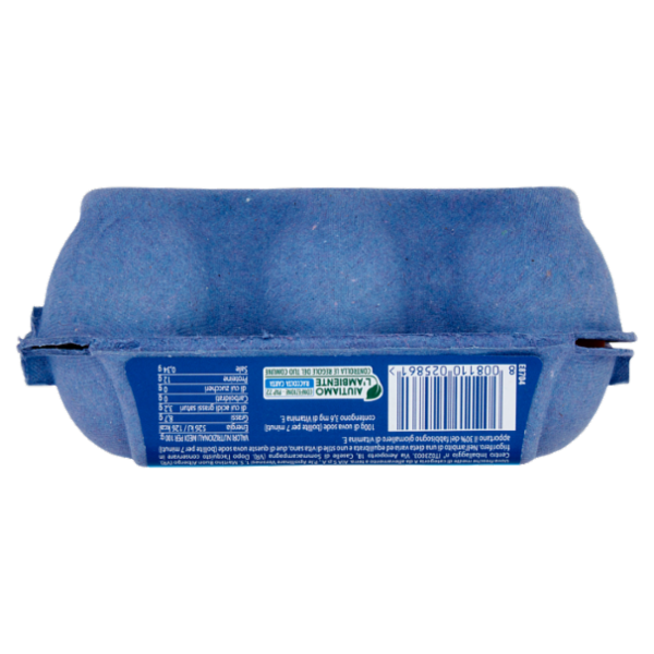 Aia aeQuilibrium 6 Uova Fresche Medie da Galline Allevate a Terra Senza Uso di Antibiotici