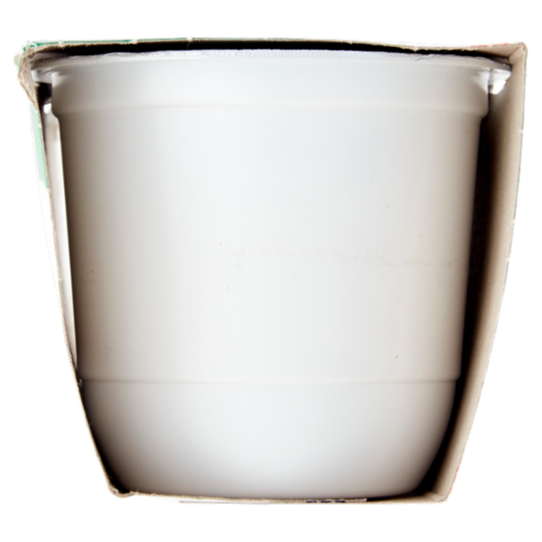 Centrale del Latte di Roma Zero Grassi Ananas Yogurt magro con frutta in pezzi 2 x 125 g