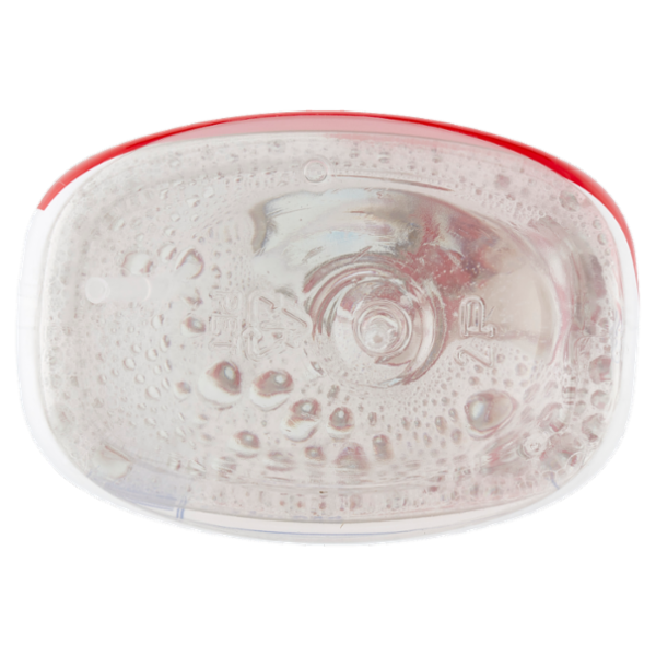 Bioform Plus disinfettante Detergente per la disinfezione della casa 650 ml