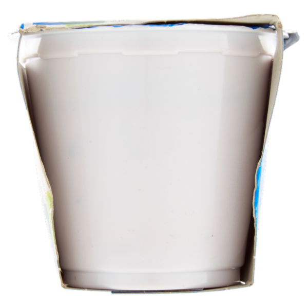 Selex Yogurt Intero Frutti di Bosco con Frutta in Pezzi 2x125 g