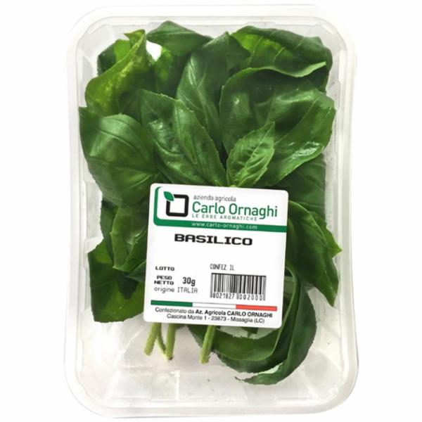 BASILICO