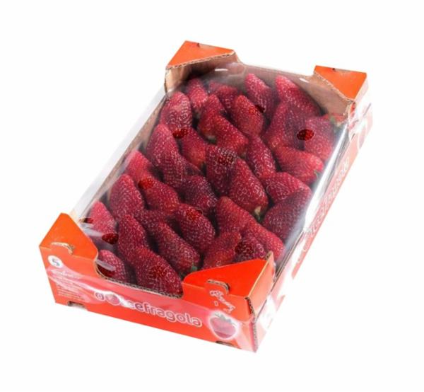 Fragole Bauletto Kg 1