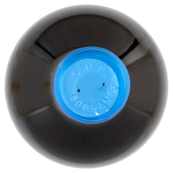 CasalFarneto Rosso Conero DOC 75 cl