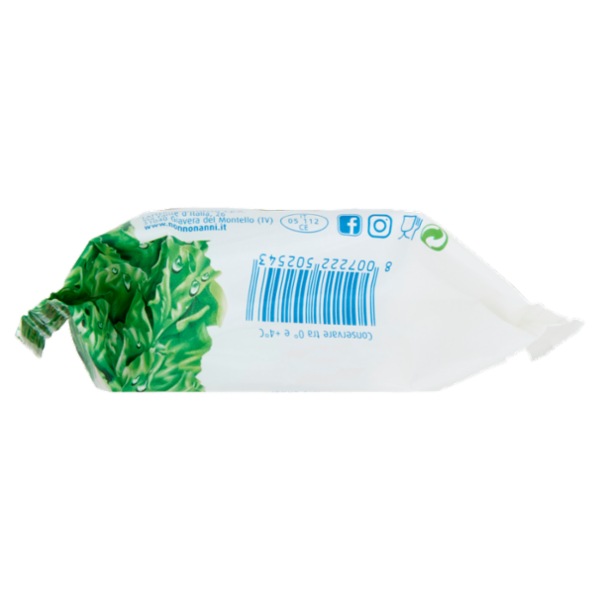 Nonno Nanni stracchino 100 g