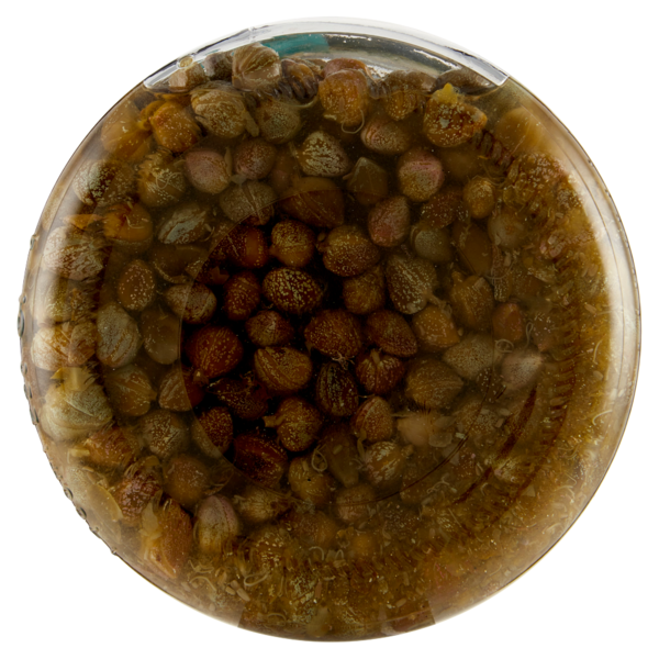 Citres Chef Capperi Medi in Aceto 1550 g