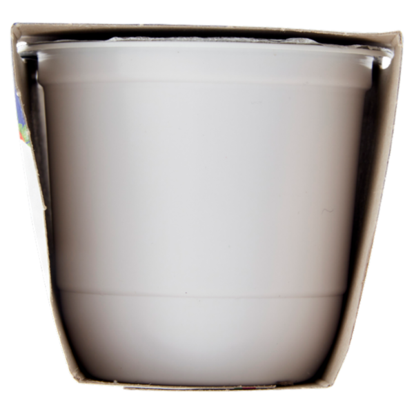 Centrale del Latte di Roma Fragola Yogurt Intero 2 x 125 g