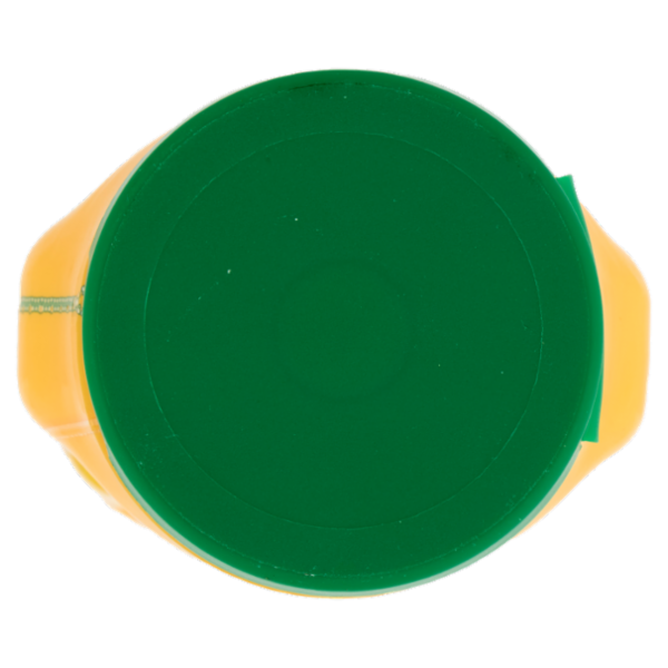 Develey Maionese 250 ml