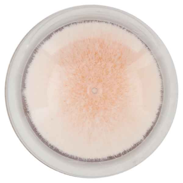 Maybelline New York Correttore Liquido Il Cancella Età con Bacche di Goji e Haloxyl, 03 Fair