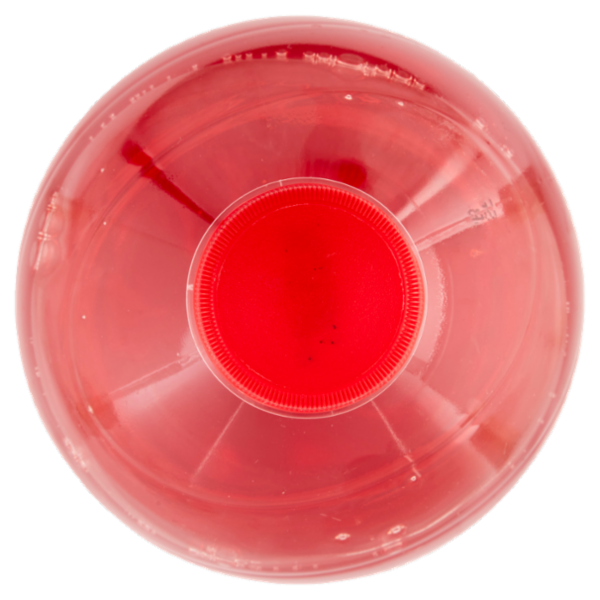 Consilia Ginger 1,5 L