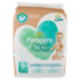 Pampers Protezione Pura 5 19 pz