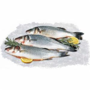 Branzino Intero