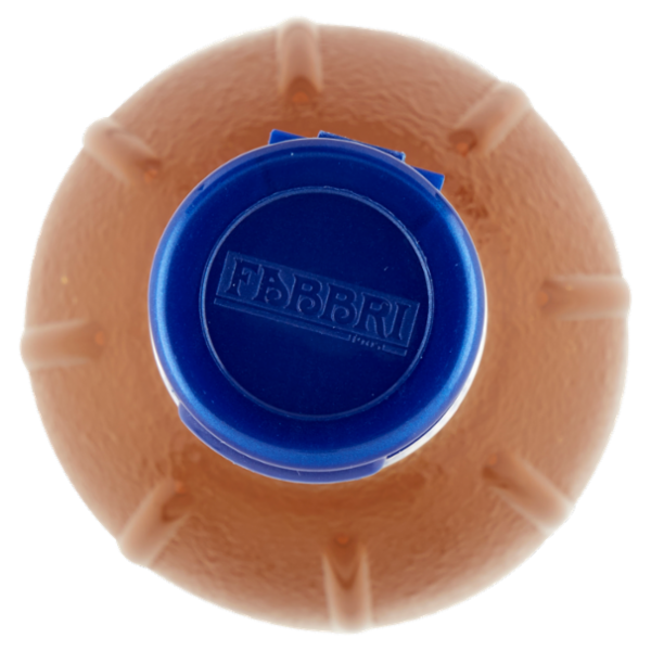 Fabbri Mixy Bar Fiori di Sambuco 1 L