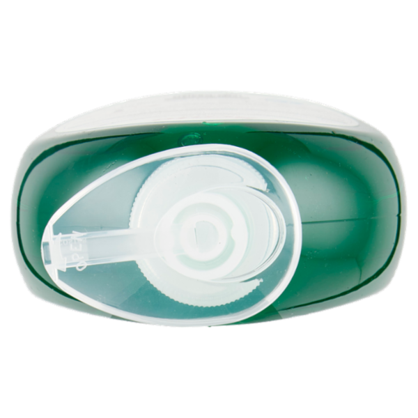 Scala Piatti Concentrato Igienizzante Zenzero e Limone 500 ml