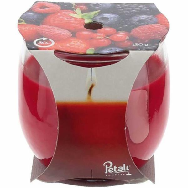 CAND.PROF.AMB.30 H FRUTTI BOSC