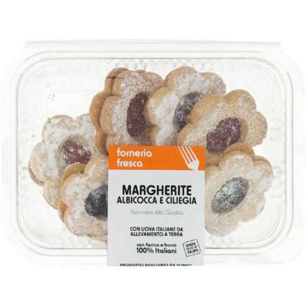 Margherite Albicocca/Ciliegia