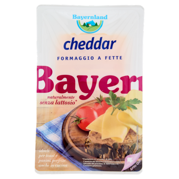 Bayernland cheddar Formaggio a Fette 100 g