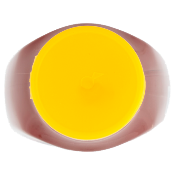 Biffi La Linea Professionale Salsa Barbecue 900 g