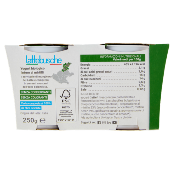 lattebusche Yogurt Bio Mirtilli 2 x 125 g