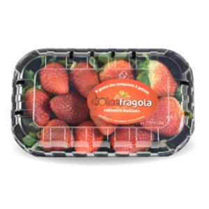 DOLCEFRAGOLA GR.300