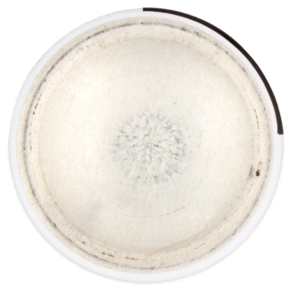 Nivea Men Black & White Invisible Original Anti-Perspirant 35 ml