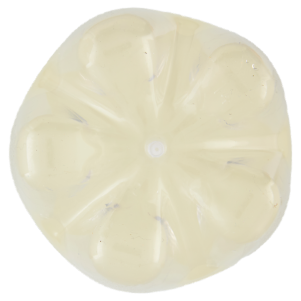 Schweppes Limone PET 1 L