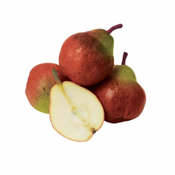 Pere Williams Rosse Argentina