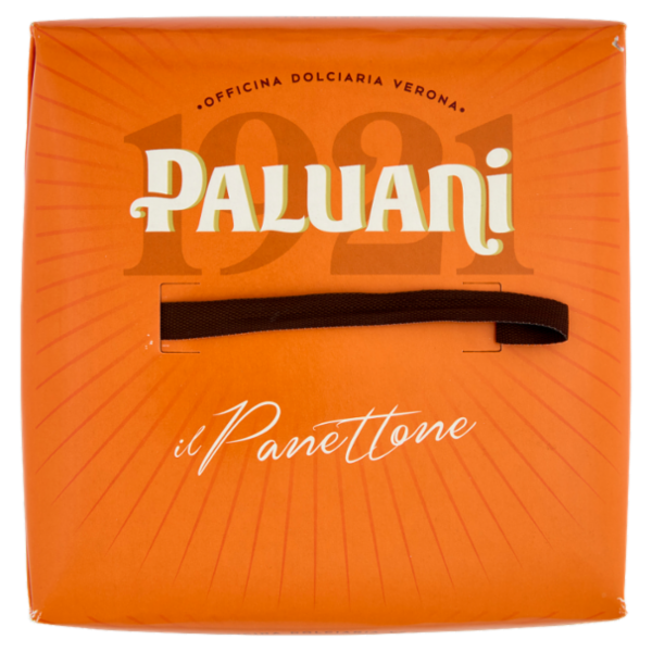 Paluani il Panettone 700 g