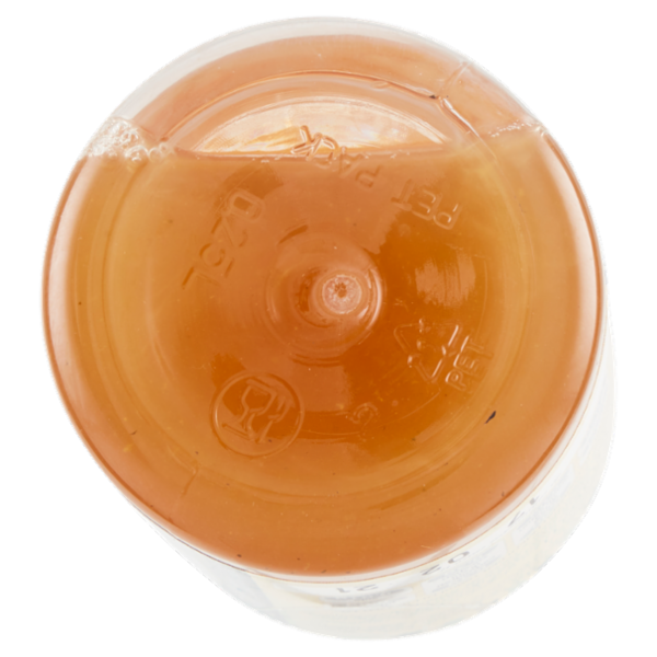 Podere Cittadella Kefir d'Acqua Infuso Antiox Té Verde & Rooibos 250 ml