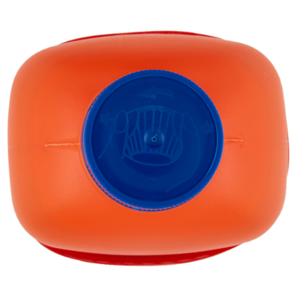 Scala Disgorgante Igienizzante Azione Rapida con Candeggina 1000 ml