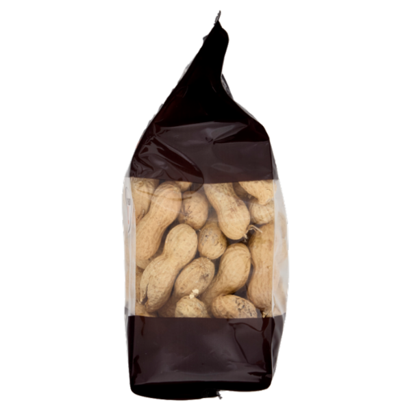 Selex Saper di Sapori Frutta Secca Arachidi Tostate con Guscio 300 g